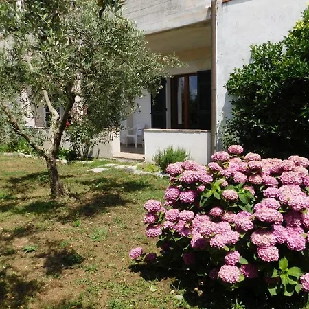 Agriturismo Casalin Farm stay